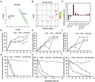 Indole-Acetic Acid Promotes Ammonia Removal Through Heterotrophic Nitrification, Aerobic Denitrification With Mixed Enterobacter sp. Z1 and Klebsiella sp. Z2